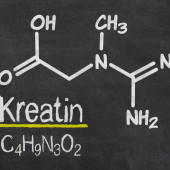 Was bringt eine Kreatin-Kur?