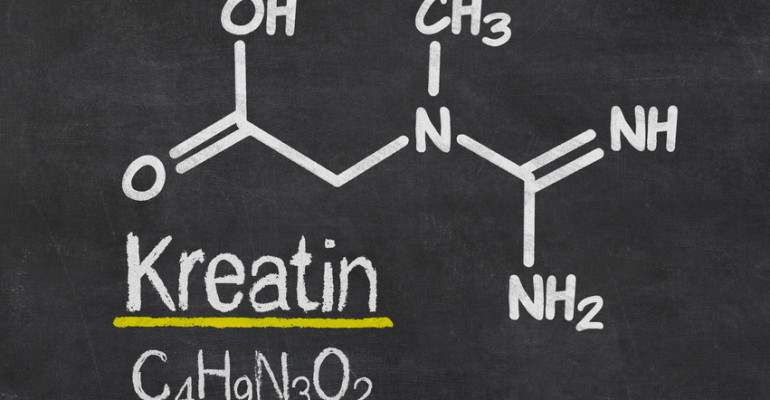 Was bringt eine Kreatin-Kur?